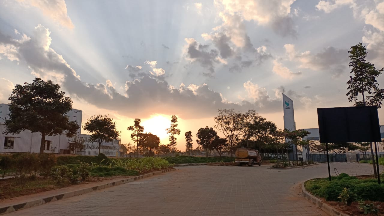 CMR University